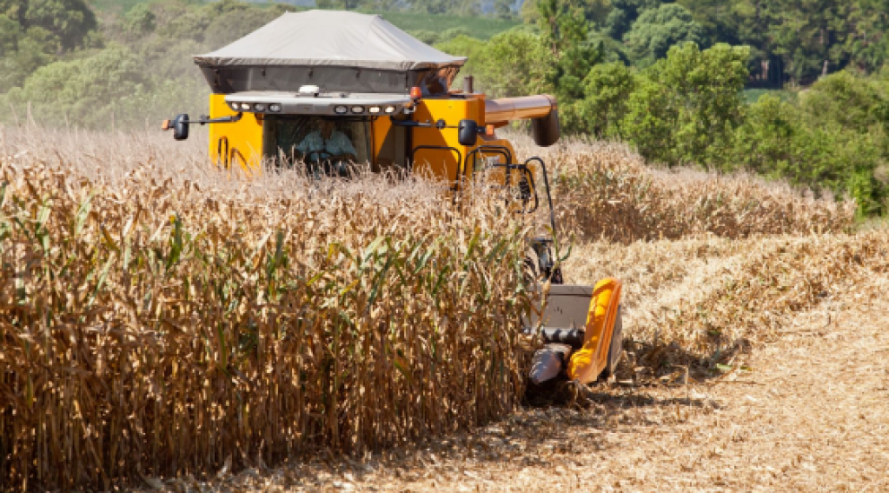 Crescimento economico no rio grande do sul