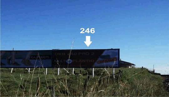246-sd